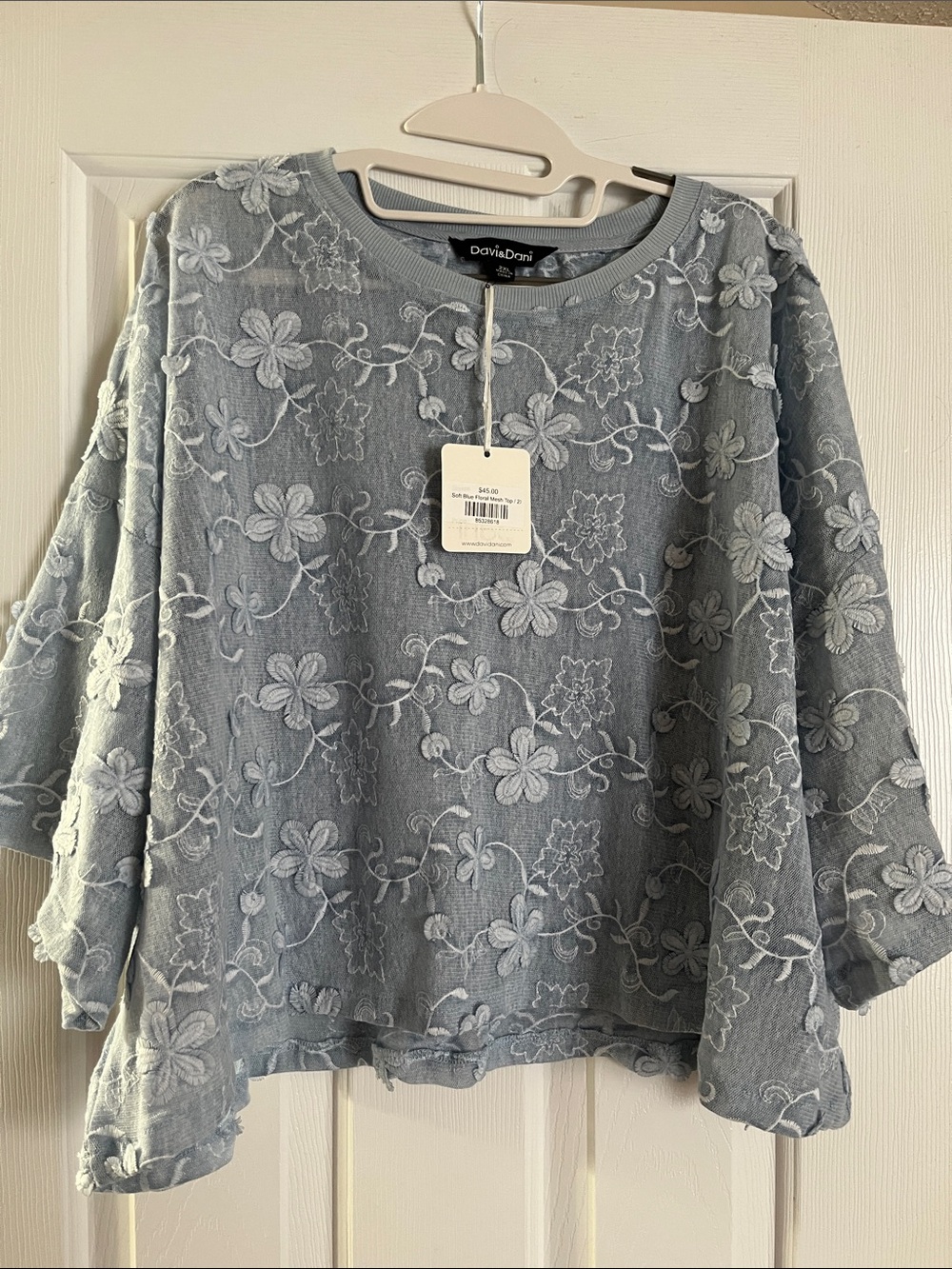 DAVI & DANI NWT Pale Blue Floral Lace-Embroidered Top